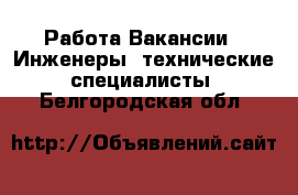 Работа Вакансии - Инженеры, технические специалисты. Белгородская обл.